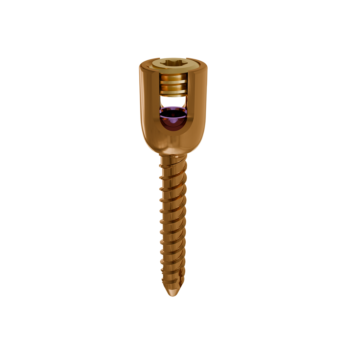 Śruba transpedikularna - śr. 4,5 TORX